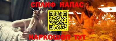 spice Дубна